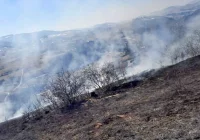 Interwencji przybywa - pożarów już więcej, niż w całym ubiegłym roku - zdjęcie główne