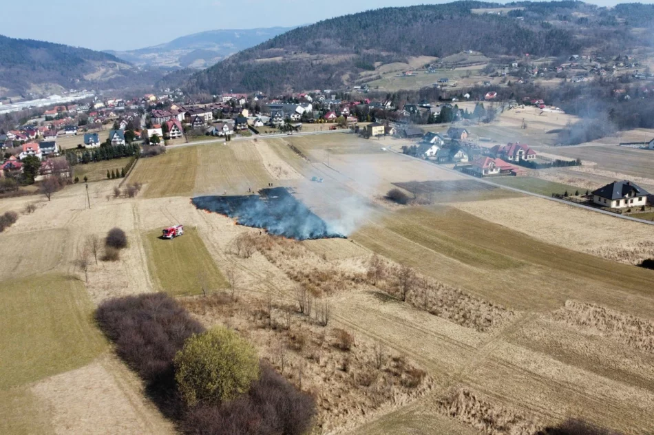 Kolejny pożar traw w regionie - zdjęcie 2