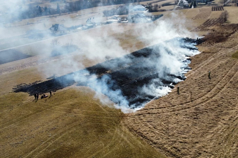 Kolejny pożar traw w regionie - zdjęcie 3