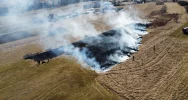 Kolejny pożar traw w regionie - zdjęcie 3