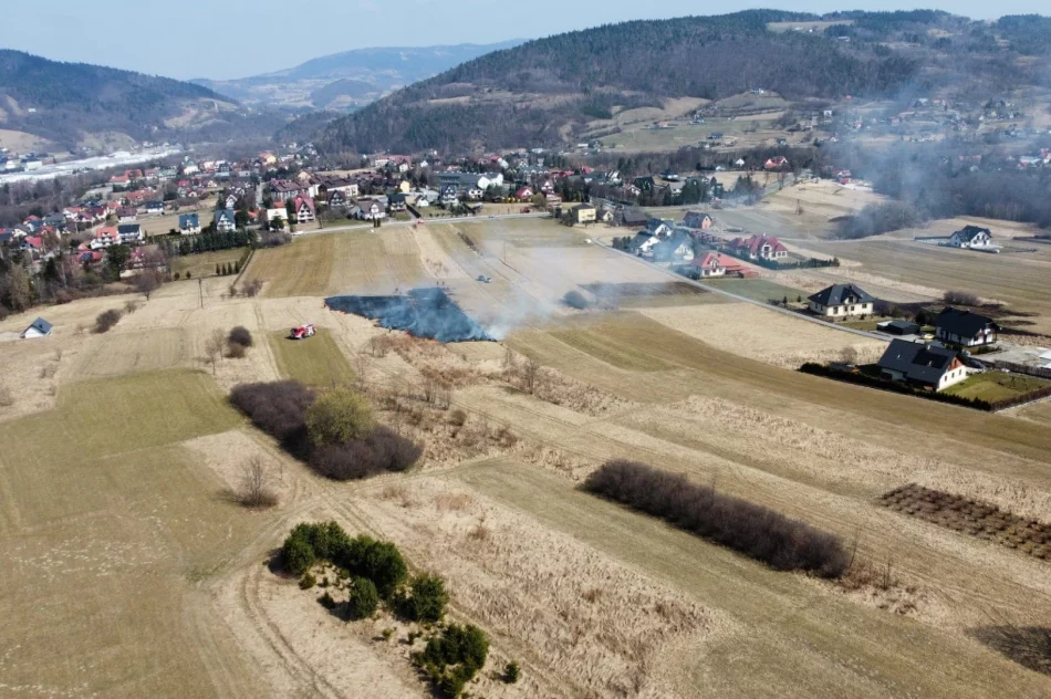 Kolejny pożar traw w regionie - zdjęcie 4