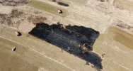 Kolejny pożar traw w regionie - zdjęcie 5