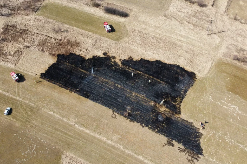 Kolejny pożar traw w regionie - zdjęcie 5