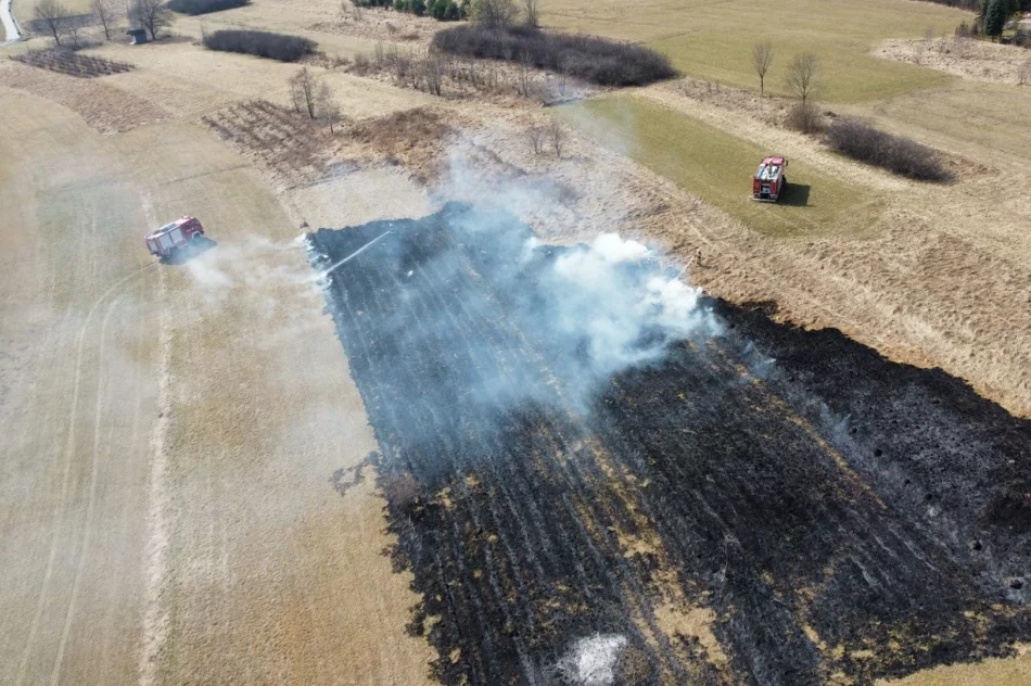 Kolejny pożar traw w regionie - zdjęcie 6