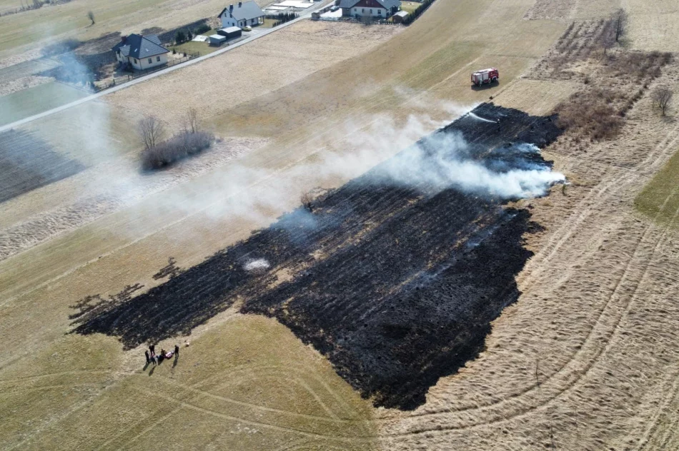 Kolejny pożar traw w regionie - zdjęcie 7