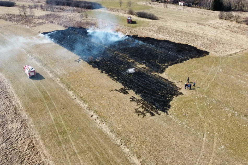 Kolejny pożar traw w regionie - zdjęcie 8