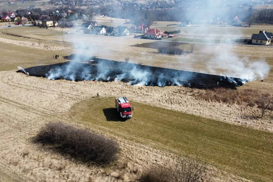 Kolejny pożar traw w regionie - zdjęcie 9
