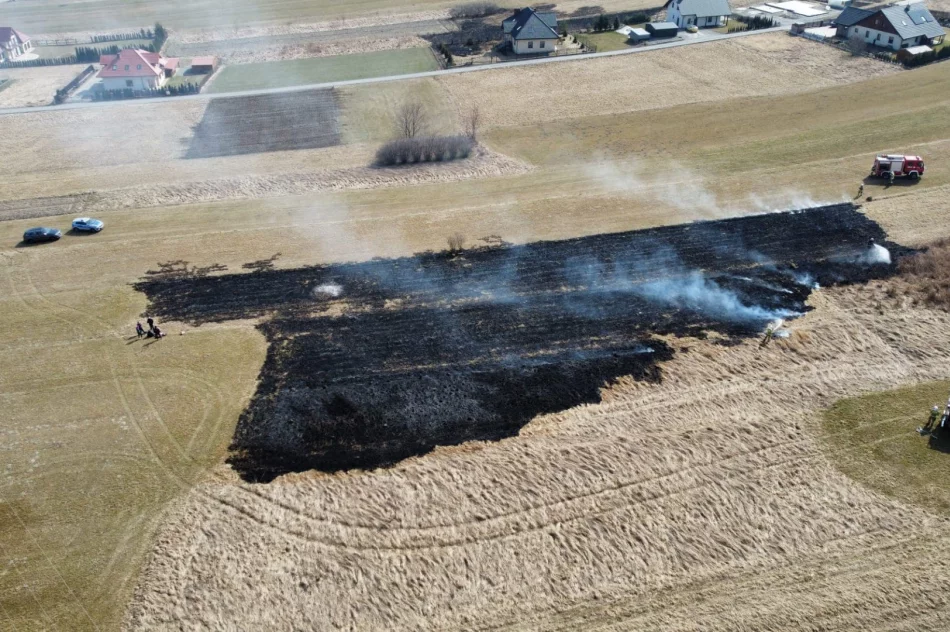 Kolejny pożar traw w regionie - zdjęcie 10