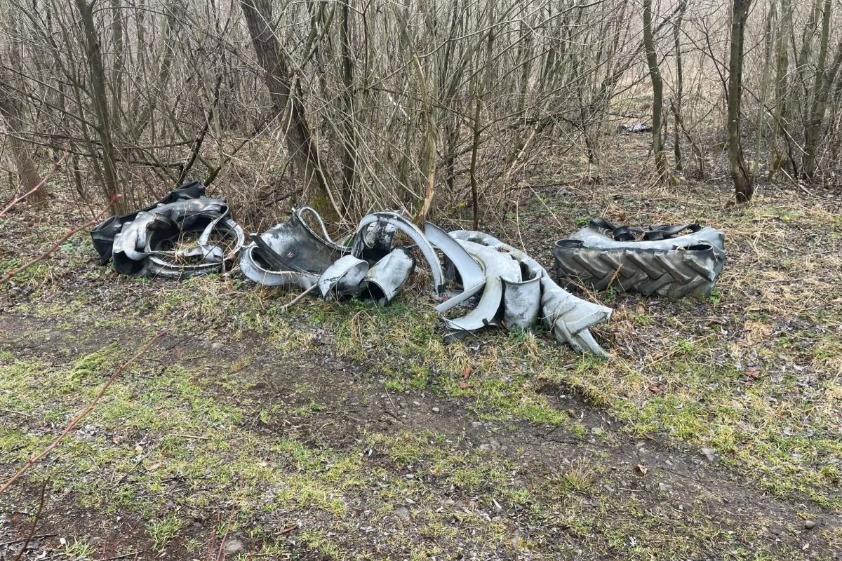 Skandaliczne "wiosenne porządki". Urząd apeluje