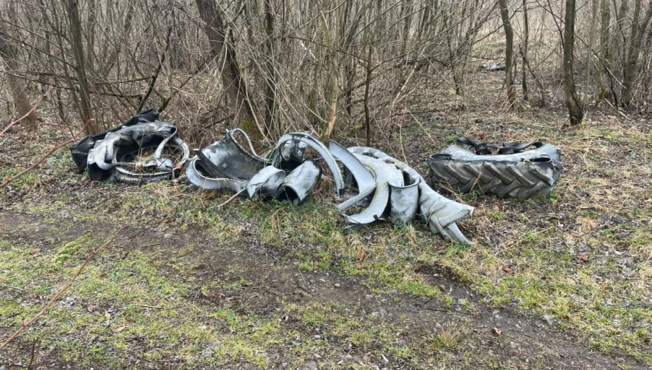 Skandaliczne "wiosenne porządki". Urząd apeluje - zdjęcie 1