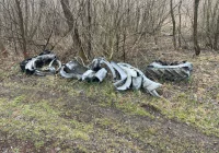 Skandaliczne "wiosenne porządki". Urząd apeluje - zdjęcie główne