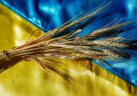 Kraków: Marsz "Razem dla pokoju" - w rocznicę napaści Rosji na Ukrainę - zdjęcie główne