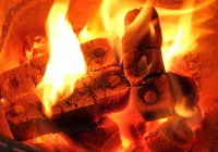 Zakazy palenia drewnem to efekt rosyjskich pieniędzy? "Jesteśmy niewolnikami energetycznymi" - zdjęcie główne