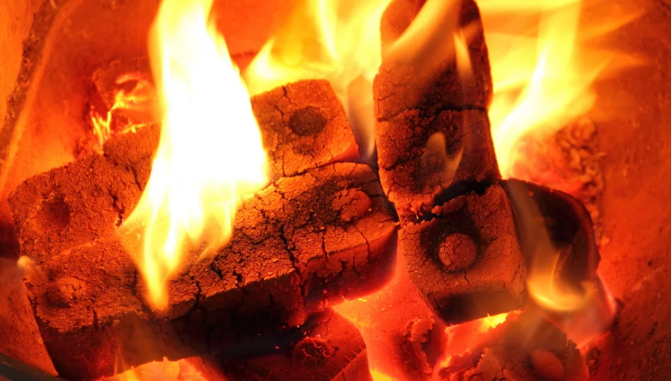 Raport: ogrzewanie domu - najdroższe kotłem pelletowym - zdjęcie 1