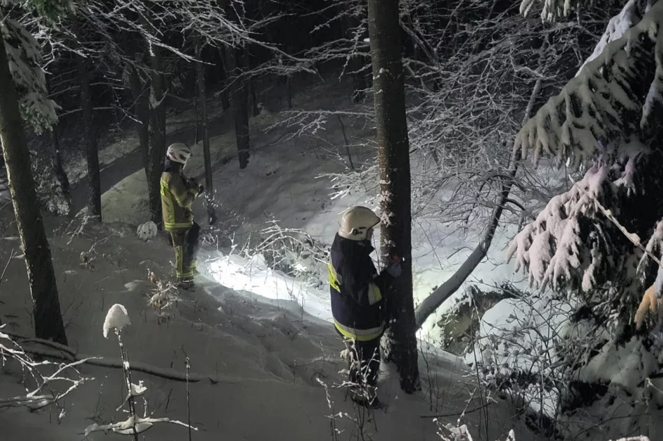Odnaleźli zaginioną kobietę w stanie hipotermii. Pierwszy raz przy pomocy drona - zdjęcie 11
