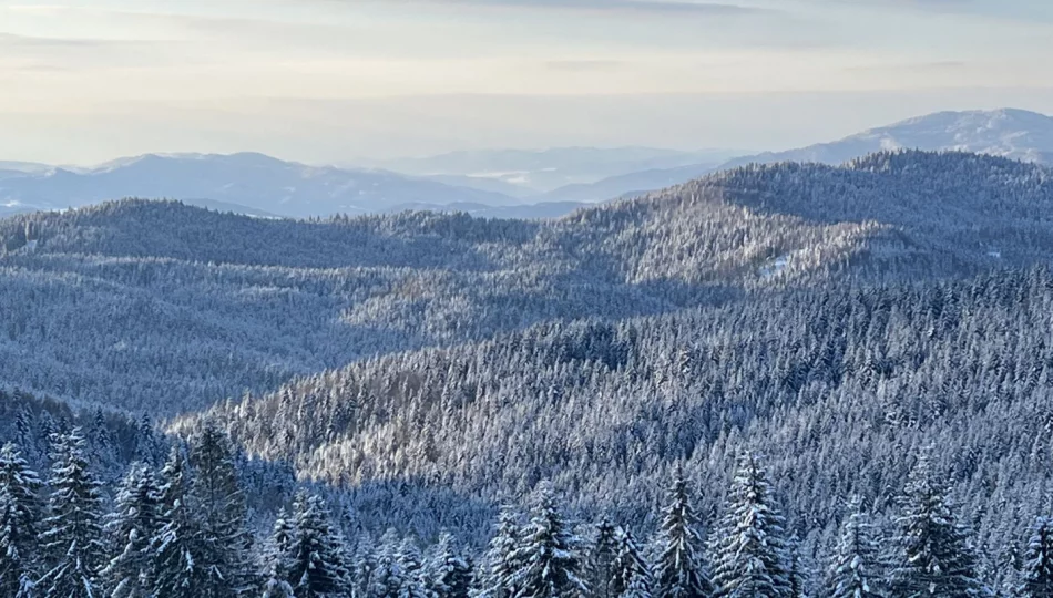 Prognoza pogody na 14 tydzień roku. Silny wiatr i możliwy śnieg - zdjęcie 1