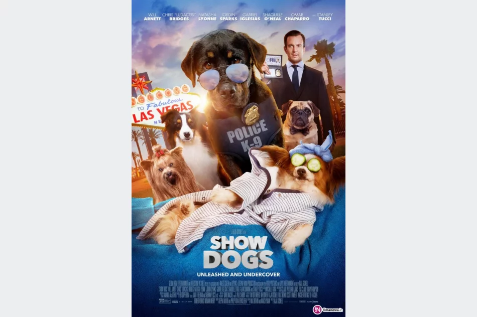 Weekend nowości w kinie Klaps - zdjęcie 4