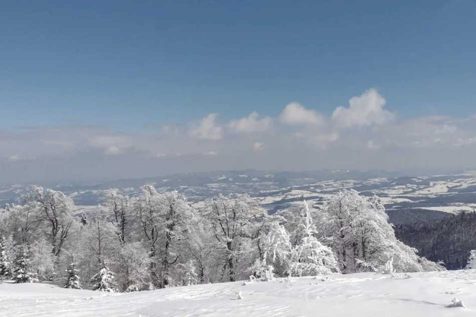 Strzelcy pod Krzyżem Papieskim - zdjęcie 6