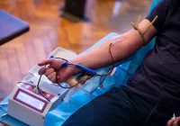 Druhowie zapraszają na zbiórkę krwi - zdjęcie główne