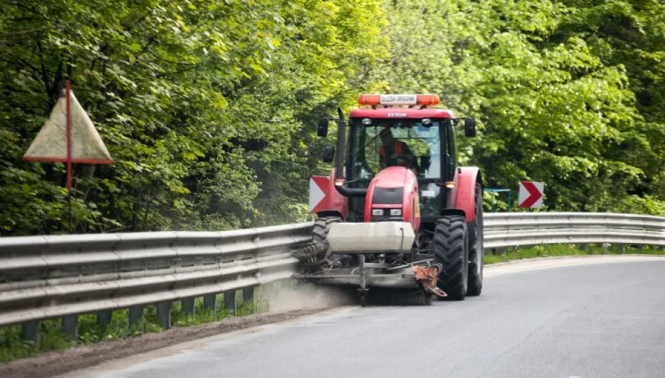 Sprzątanie: wersja miejska i wiejska - zdjęcie 1