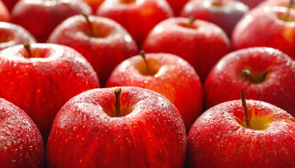 Pryskane jabłka są pokryte groźnymi drożdżakami - zdjęcie 1