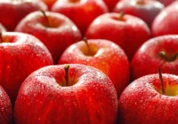  Recepta na pamięć: Jak prosta modyfikacja diety może wspomóc funkcje mózgu - zdjęcie główne