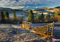 Wernisaż wystawy – 40 lat KTF - zdjęcie główne