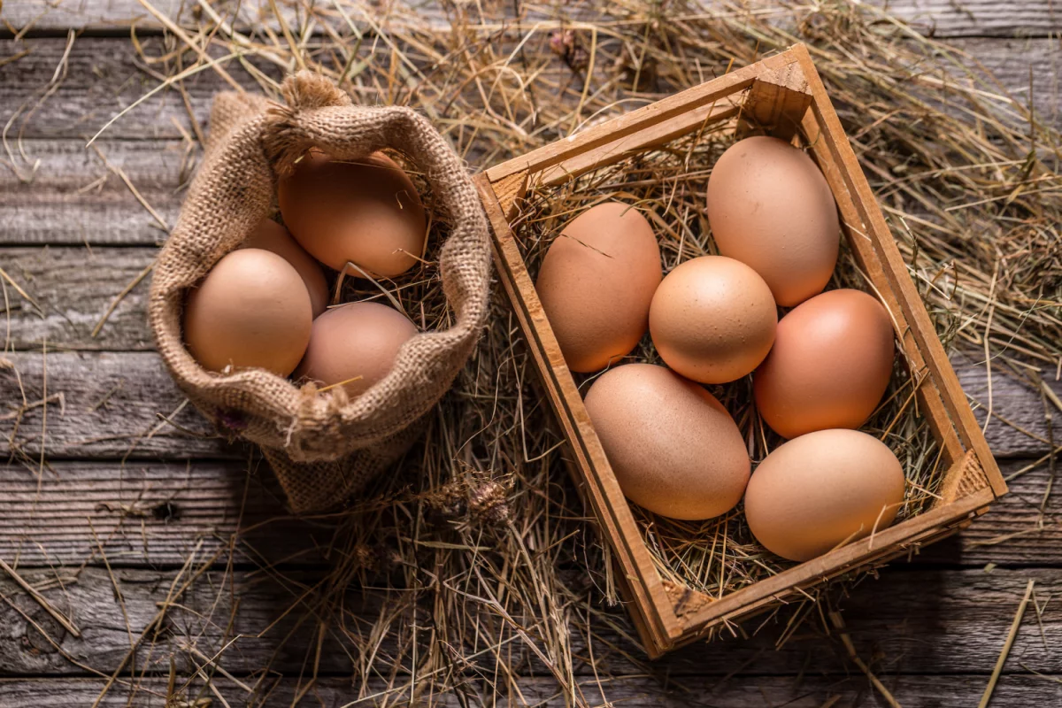 Ceny jaj w sklepach pójdą w górę - w hurcie podrożały już o 62,5 proc.