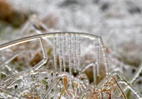 Ostrzeżenie przed przymrozkami dla całego regionu - zdjęcie główne