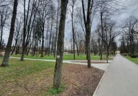 W parku ma powstać aleja pamięci - zdjęcie główne