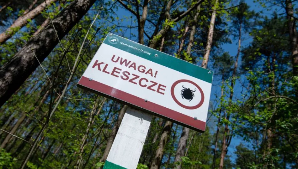 Kleszcze przenoszą groźne choroby; warto stosować profilaktykę - zdjęcie 1