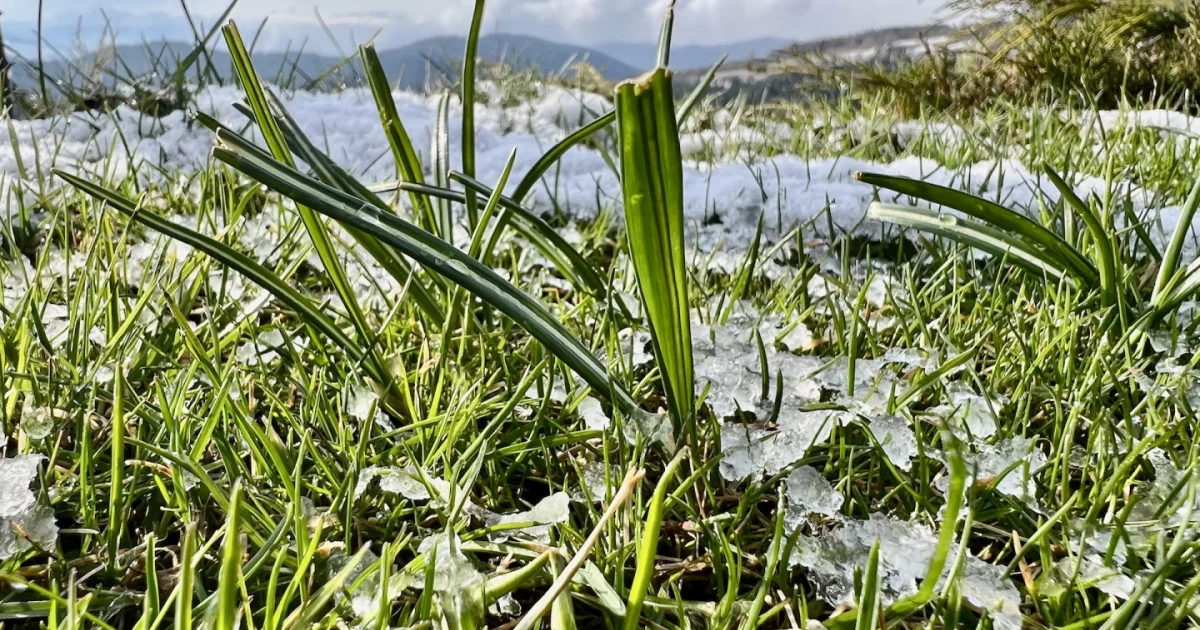 Prognoza pogody dla Limanowej i Polski: możliwy śnieg i silny wiatr (4–10 kwietnia 2025)