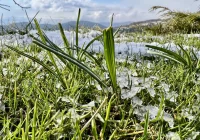 Prognoza pogody na kolejne dni - zdjęcie główne