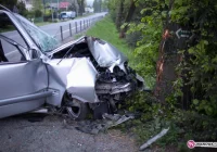 Mercedes uderzył w drzewo - zdjęcie główne