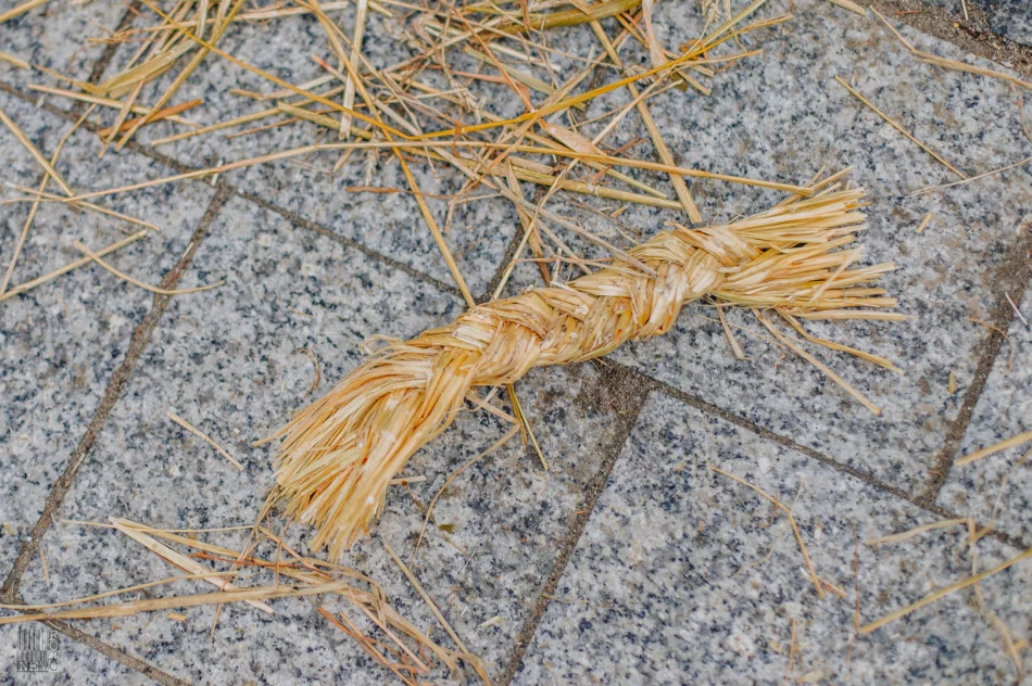 Dziady Śmiguśne w Dobrej 2022 - zdjęcie 8