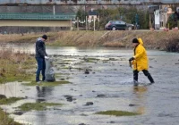 Chcą posprzątać brzegi i koryto rzeki - zdjęcie główne