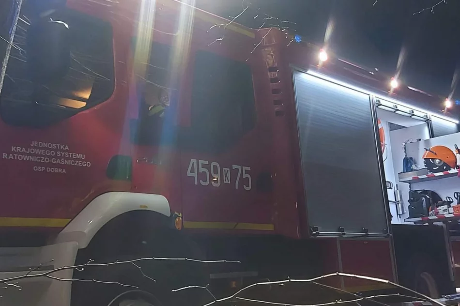 Zapalił się samochód osobowy - zdjęcie 3