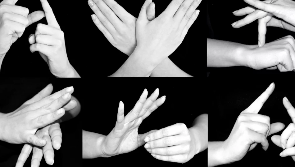 Wakacyjny kurs języka migowego w Limanowej – ruszają zapisy!  - zdjęcie 1