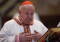 Nuncjatura apostolska: działania kard. Dziwisza jako metropolity krakowskiego były prawidłowe - zdjęcie główne