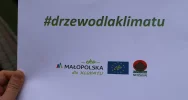 Rozdawano sadzonki i rozmawiano o ekologii - zdjęcie 5