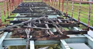 Miasto jednak wyremontuje zrujnowany most - będzie kładką dla pieszych - zdjęcie 2