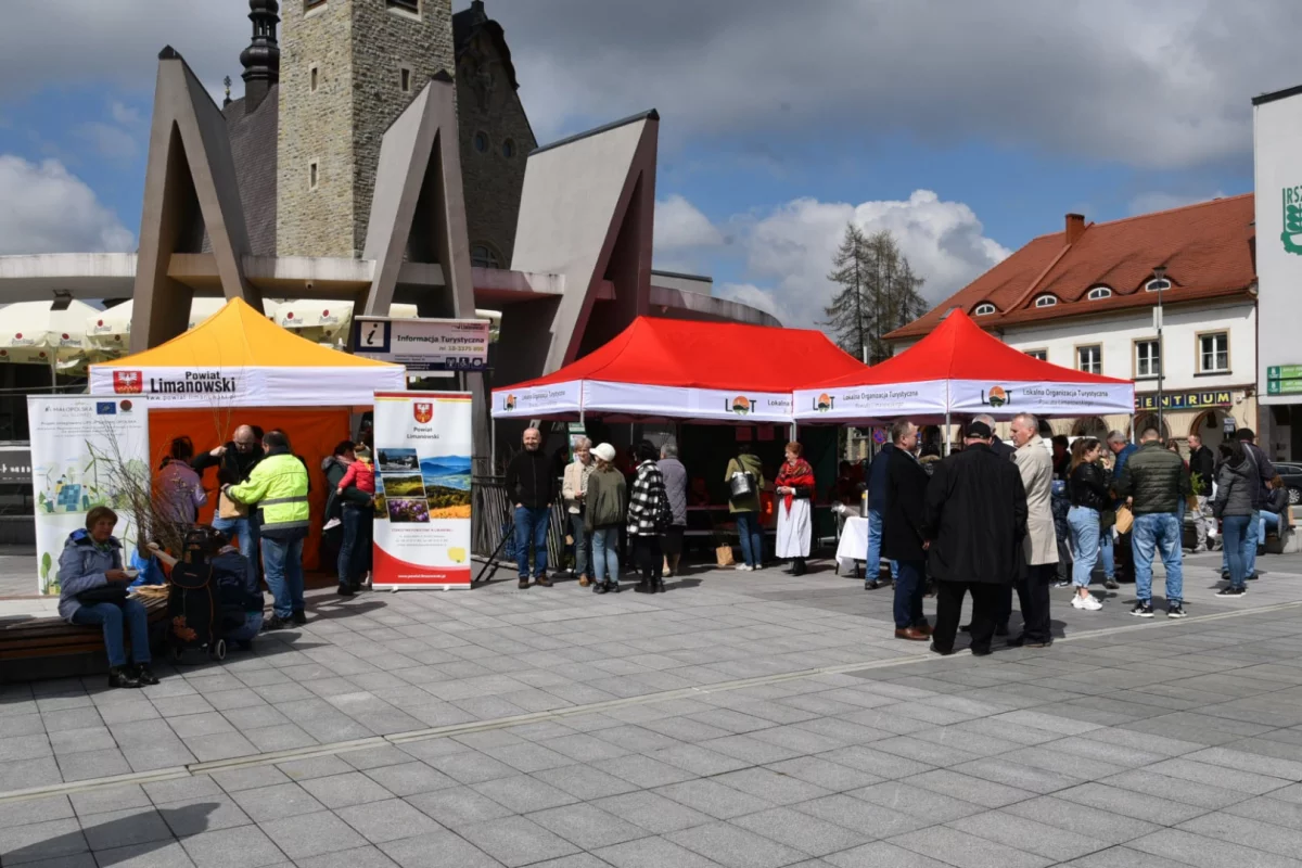 Mieszkańcom rozdano tysiąc sadzonek