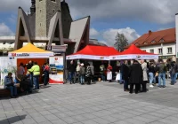 Mieszkańcom rozdano tysiąc sadzonek - zdjęcie główne
