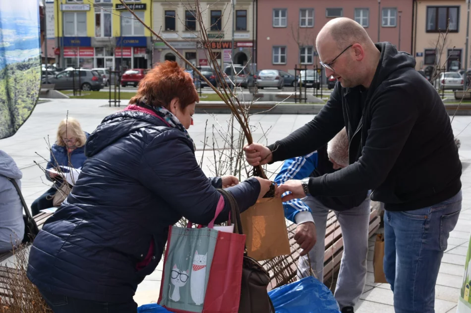 Mieszkańcom rozdano tysiąc sadzonek - zdjęcie 15