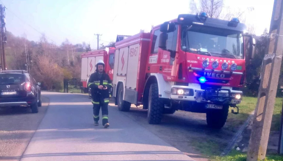 Alarmy bombowe w dwóch szkołach. W jednej - ewakuacja - zdjęcie 1