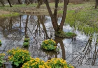 Zaczyna się majówka - jakie warunki na szlakach?  - zdjęcie główne