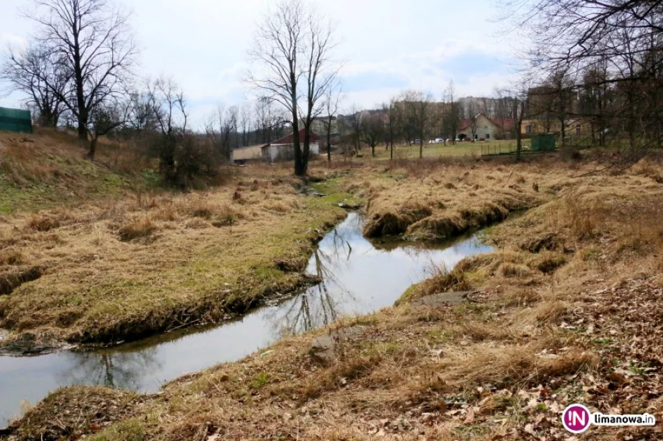Zagospodarowanie Parku Miejskiego w Limanowej - zdjęcie 2