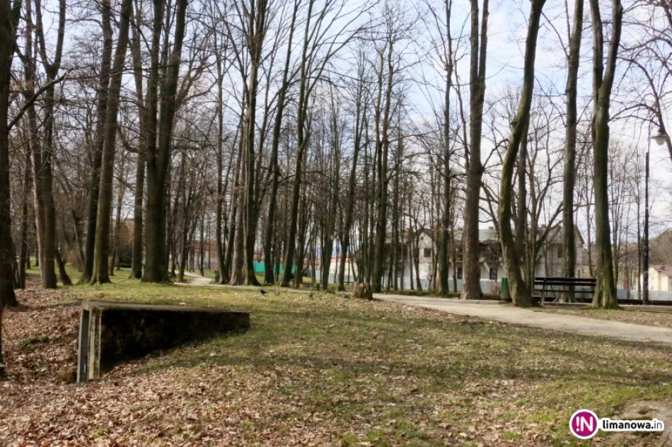 Zagospodarowanie Parku Miejskiego w Limanowej - zdjęcie 3