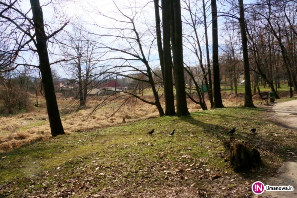 Zagospodarowanie Parku Miejskiego w Limanowej - zdjęcie 4