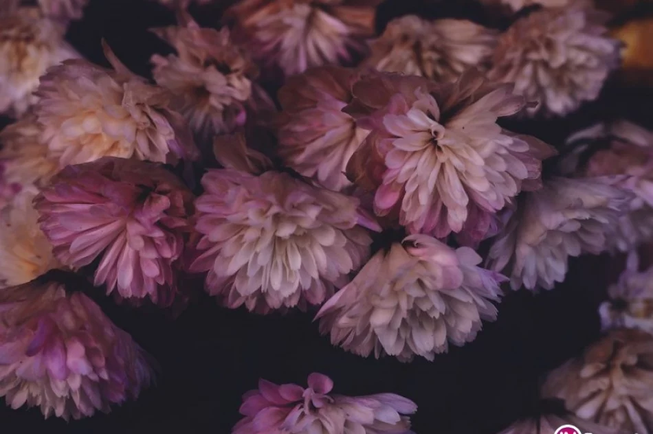 III edycja Konkursu Fotograficznego „W 365 dni dookoła Gminy Limanowa” - znamy laureatów - zdjęcie 4